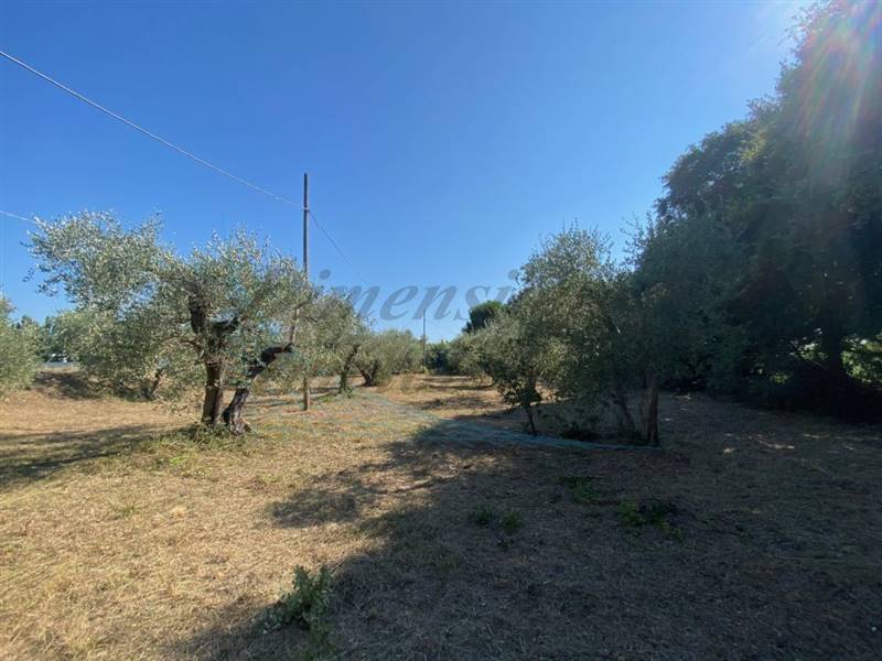 IMG_6504 (FILEminimizer).jpg