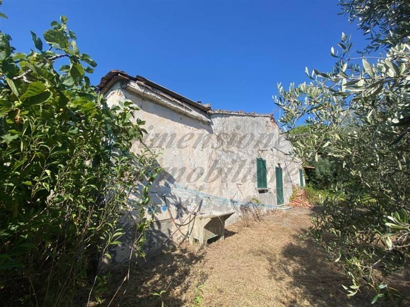 IMG_6503 (FILEminimizer).jpg