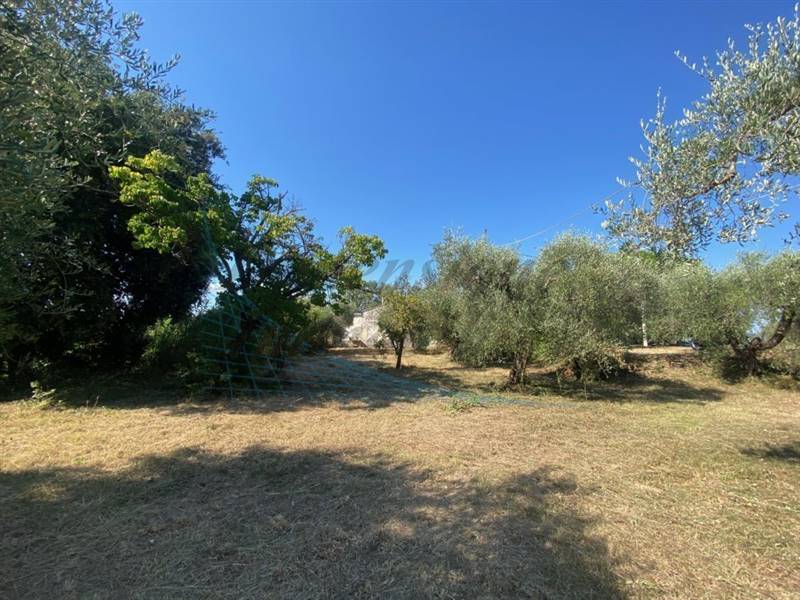 IMG_6505 (FILEminimizer).jpg