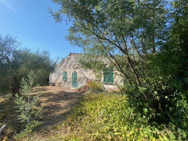 IMG_6506 (FILEminimizer).jpg