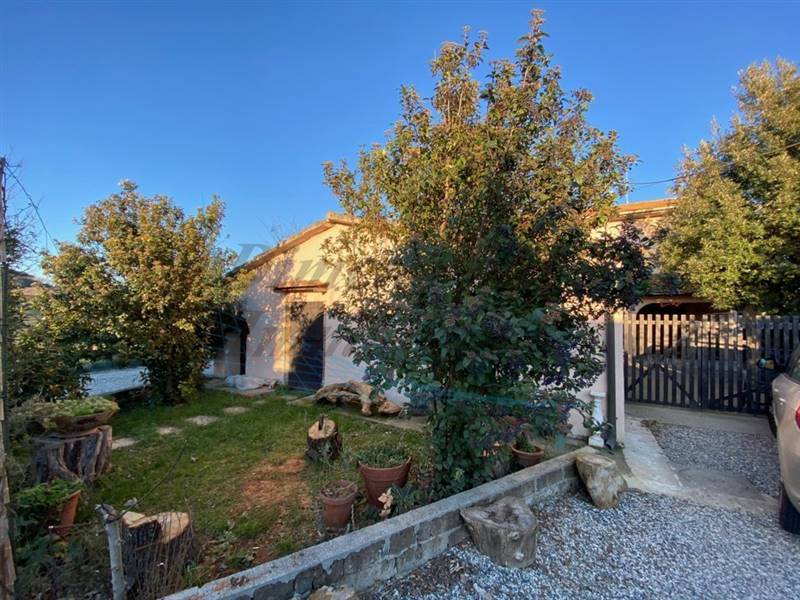 IMG_9102 (FILEminimizer).jpg