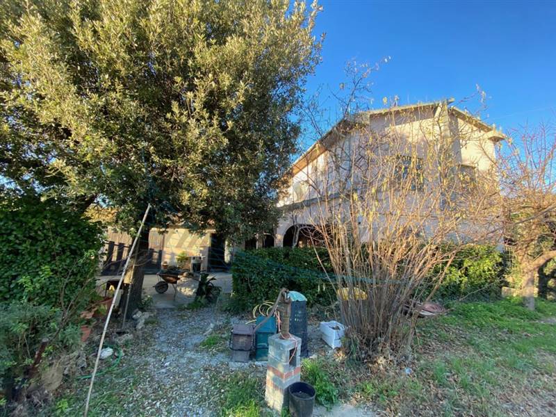 IMG_9093 (FILEminimizer).jpg