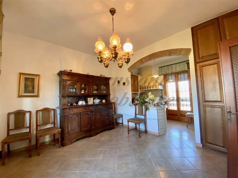 IMG_9069 (FILEminimizer).jpg