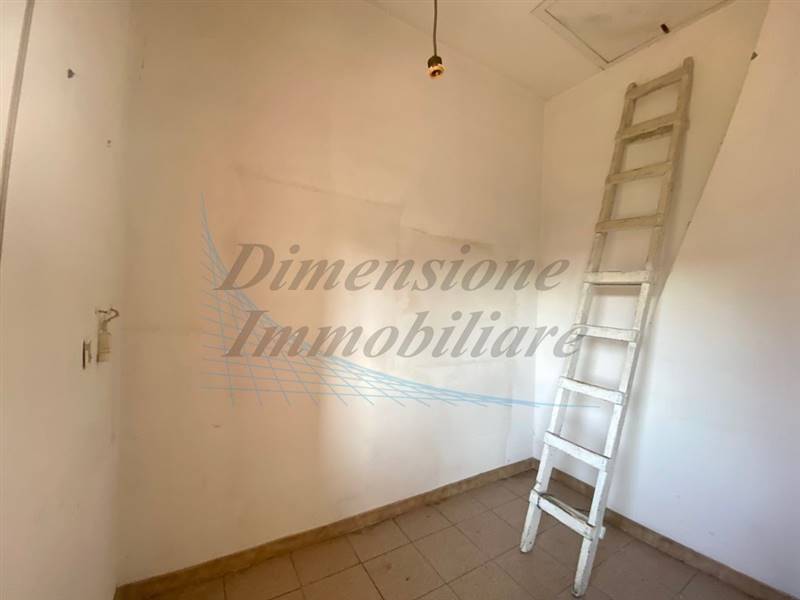 IMG_9464 (FILEminimizer).jpg