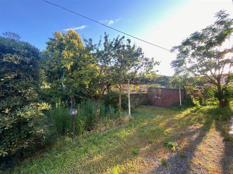 IMG_5374 (FILEminimizer).jpg