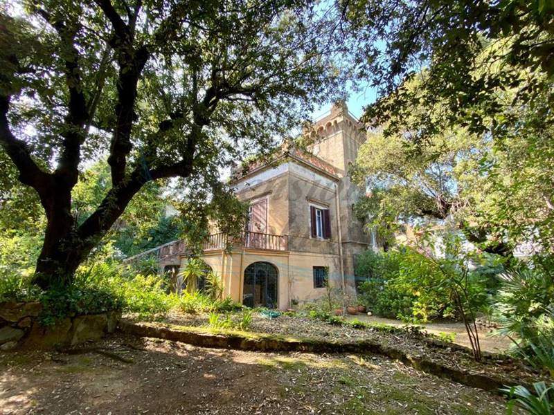 photo_38_2025-07-05_11-09-19 (FILEminimizer).jpg