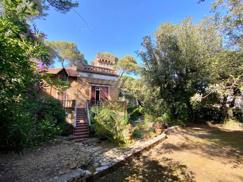 photo_41_2025-07-05_11-09-19 (FILEminimizer).jpg