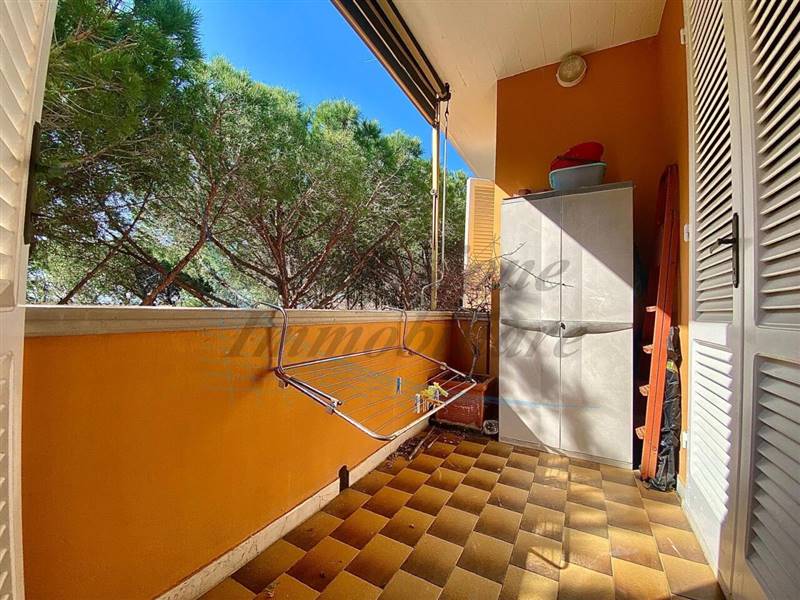 WhatsApp Image 2025-04-12 at 14.11.54.jpeg