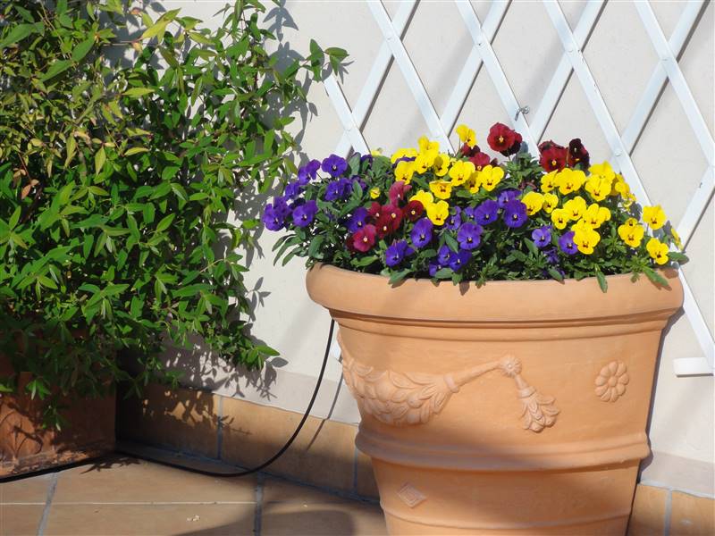 Terrazza - Appartamento vendita Gorizia