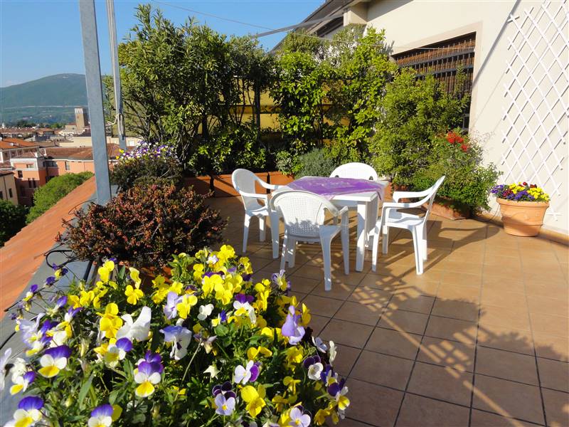 Terrazza - Appartamento vendita Gorizia