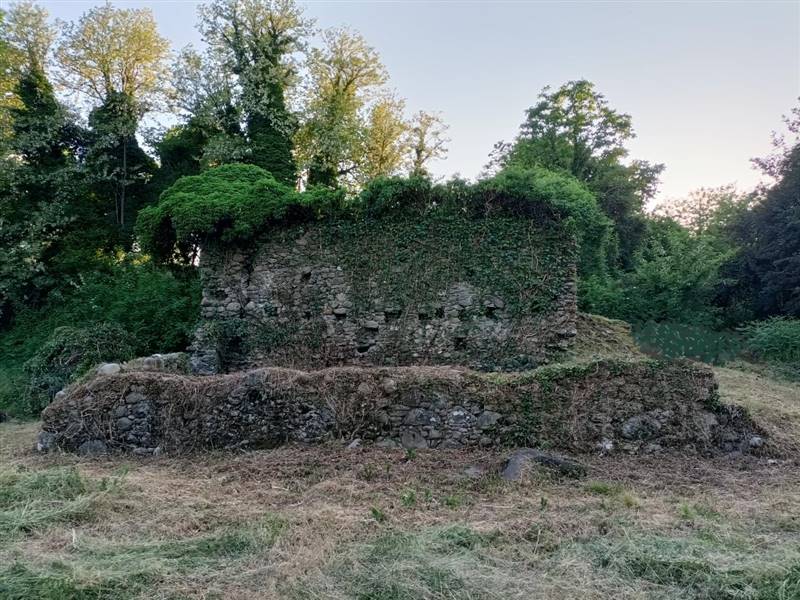 thumbnail_Immagine corretta.png