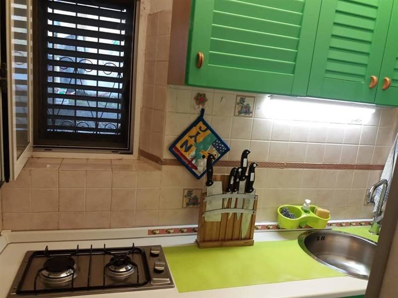 thumbnail_297542949_430932898964677_40553058205854