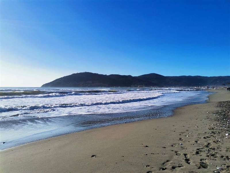 WhatsApp Image 2025-08-01 at 13.08.33.jpeg