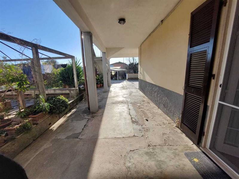 WhatsApp Image 2025-02-03 at 18.21.37.jpeg