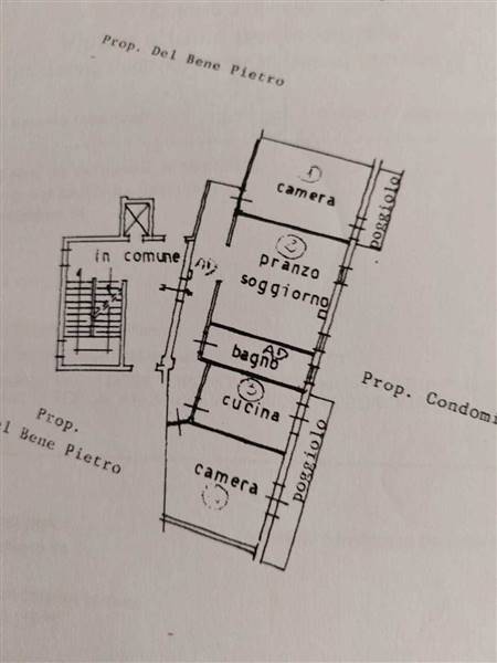 WhatsApp Image 2024-04-10 at 13.17.01.jpeg