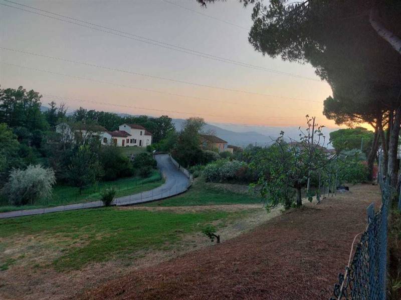 WhatsApp Image 2023-07-21 at 08.56.03.jpeg