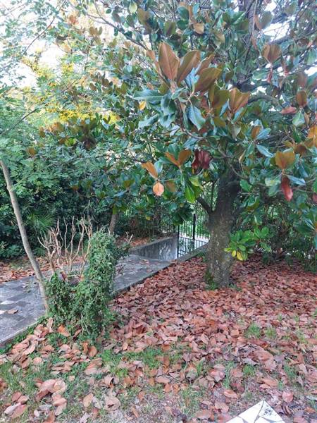 WhatsApp Image 2023-07-21 at 08.56.14(1).jpeg