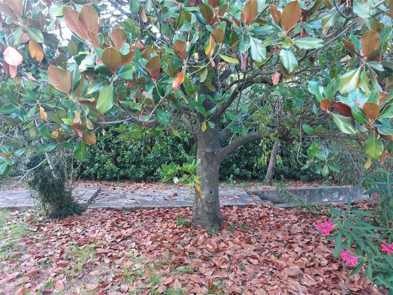 WhatsApp Image 2023-07-21 at 08.56.13.jpeg