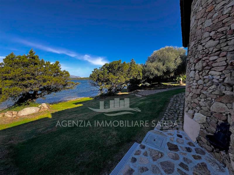 Immagine WhatsApp 2024-11-22 ore 17.05.17_86bc4095