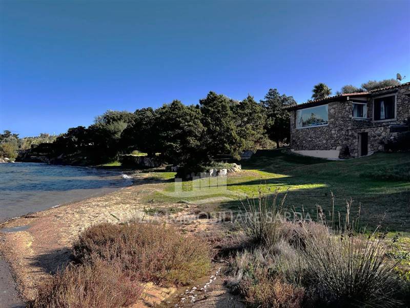 Immagine WhatsApp 2024-11-22 ore 17.05.17_9fe13a3c