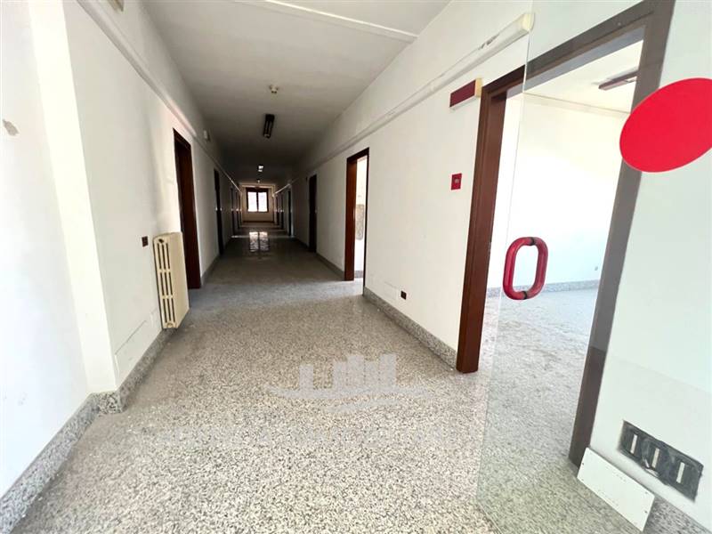 Immagine WhatsApp 2024-07-31 ore 15.59.56_808ddaae