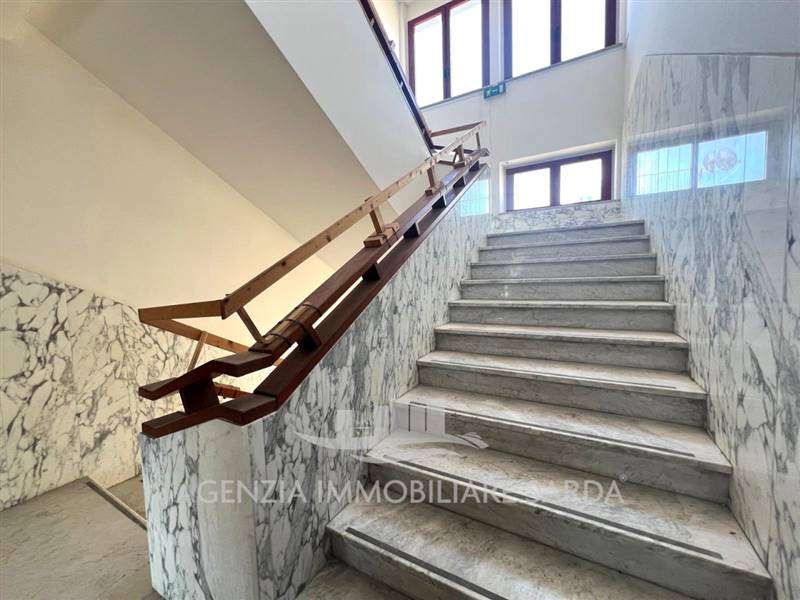 Immagine WhatsApp 2024-07-31 ore 15.59.56_82fd034f