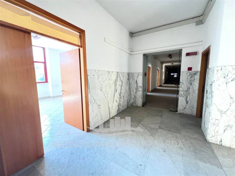 Immagine WhatsApp 2024-07-31 ore 15.59.56_1a437c46