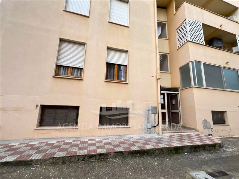 Immagine WhatsApp 2025-02-14 ore 13.52.03_4e2e7fc8