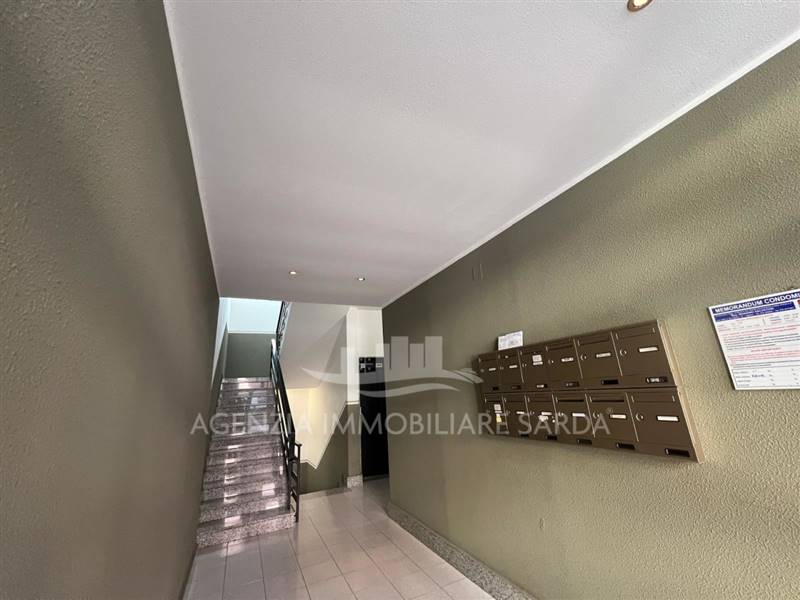 Immagine WhatsApp 2025-01-30 ore 15.15.59_372188b5