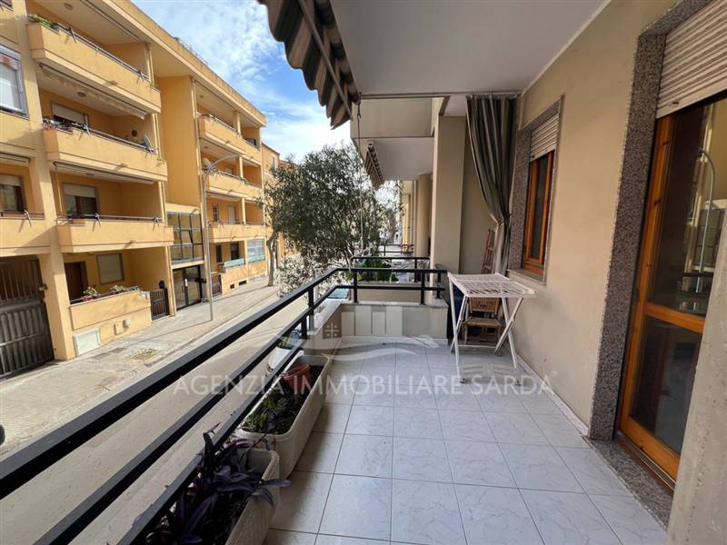 Immagine WhatsApp 2025-01-30 ore 15.15.59_8237055b