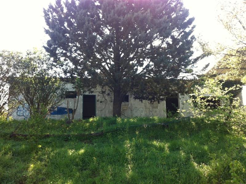 Immagine WhatsApp 2024-11-11 ore 18.13.26_be6e3580