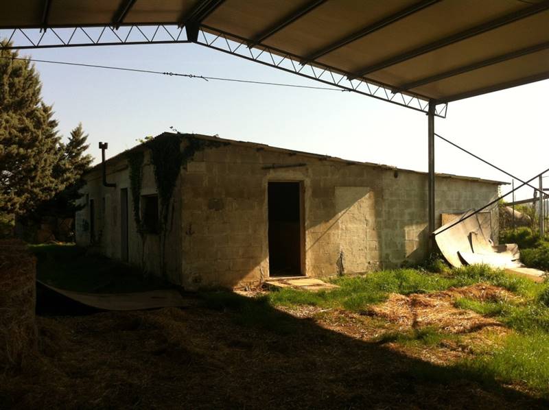 Immagine WhatsApp 2024-11-11 ore 18.13.26_163b3a2c