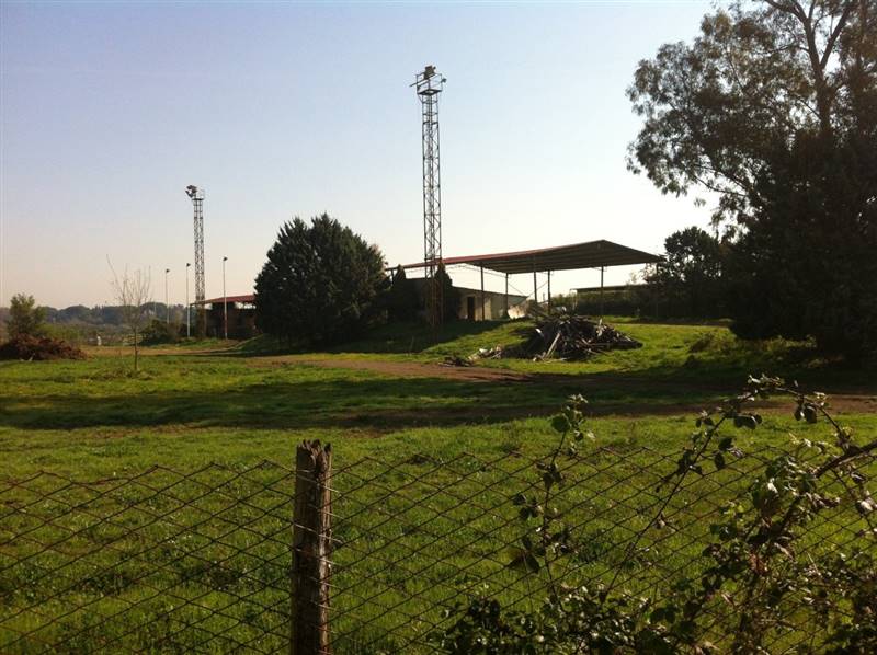 Immagine WhatsApp 2024-11-11 ore 18.13.26_3ef2c71f