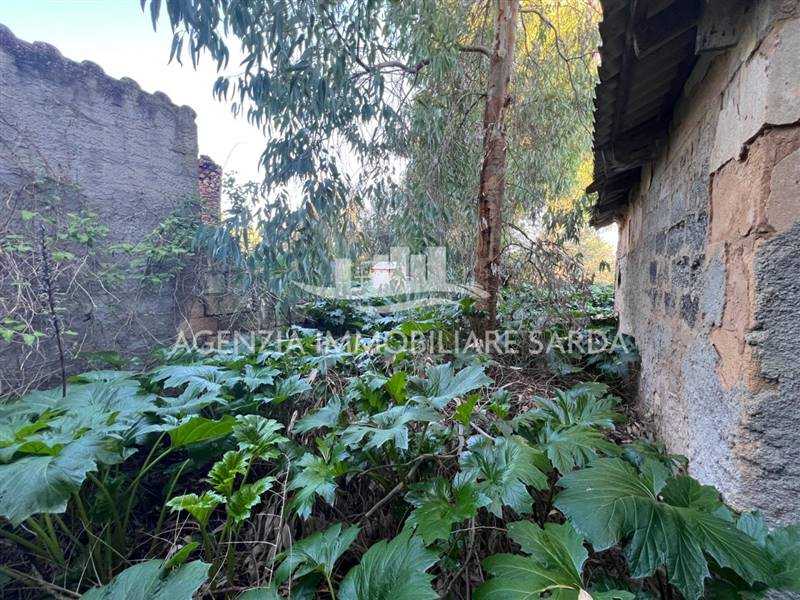 WhatsApp Image 2025-12-15 at 09.35.36 (5).jpeg