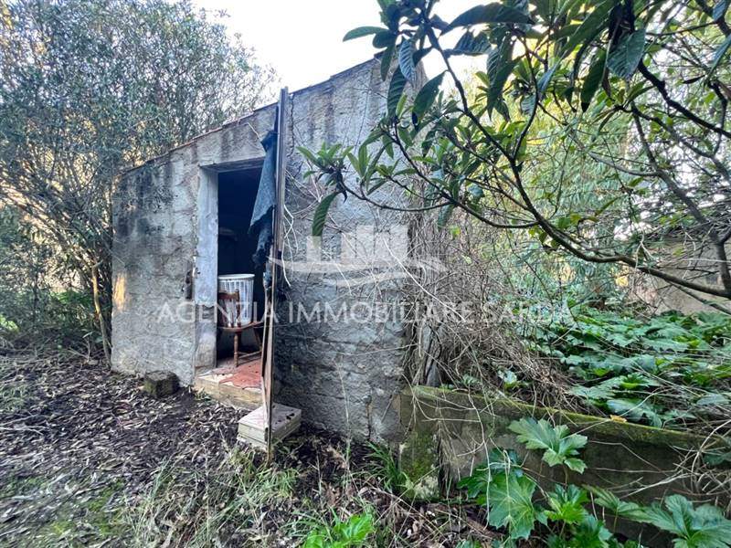 WhatsApp Image 2025-12-15 at 09.35.36 (4).jpeg