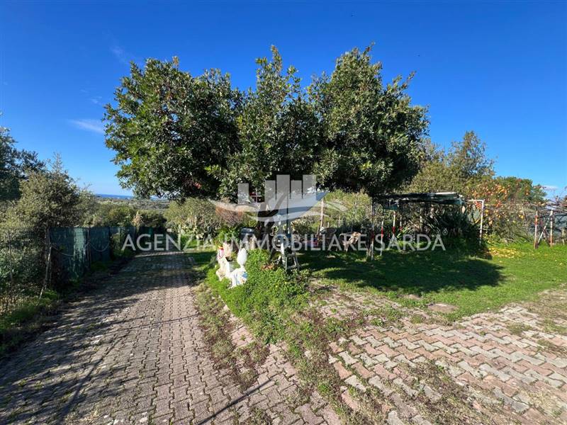 WhatsApp Image 2025-12-12 at 15.53.39.jpeg