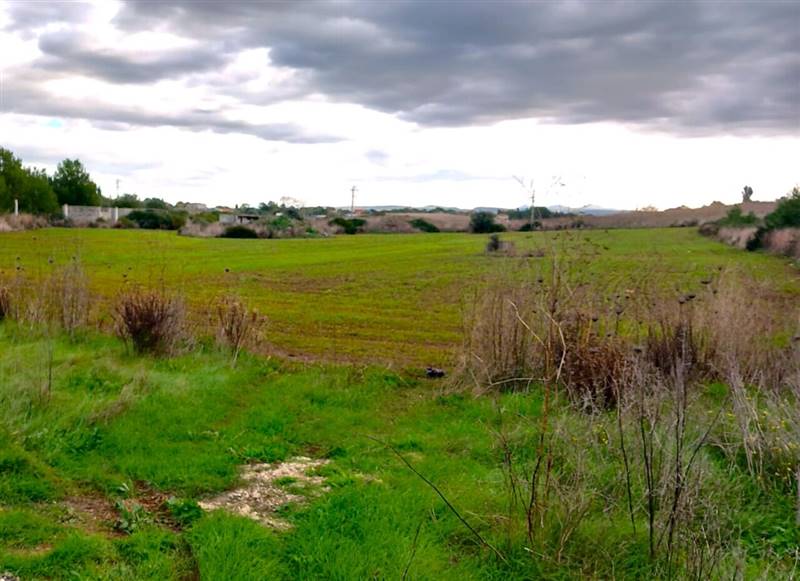 WhatsApp Image 2025-11-28 at 10.27.17 (2).jpeg