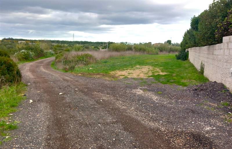 WhatsApp Image 2025-11-28 at 10.27.17 (1).jpeg