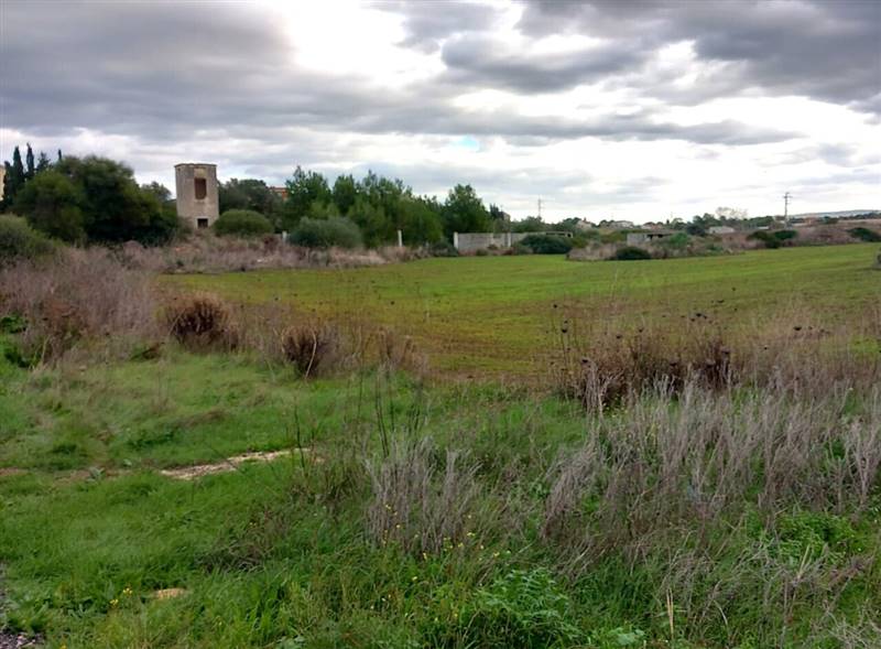 WhatsApp Image 2025-11-28 at 10.27.17 (3).jpeg