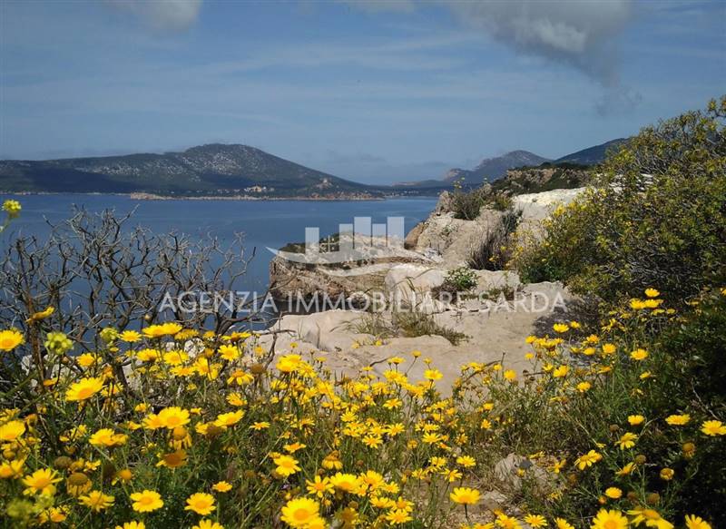 WhatsApp Image 2025-12-16 at 14.46.22 (1).jpeg