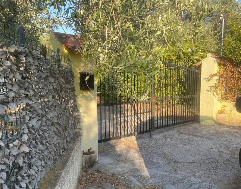 WhatsApp Image 2025-11-12 at 11.29.35 (3).jpeg