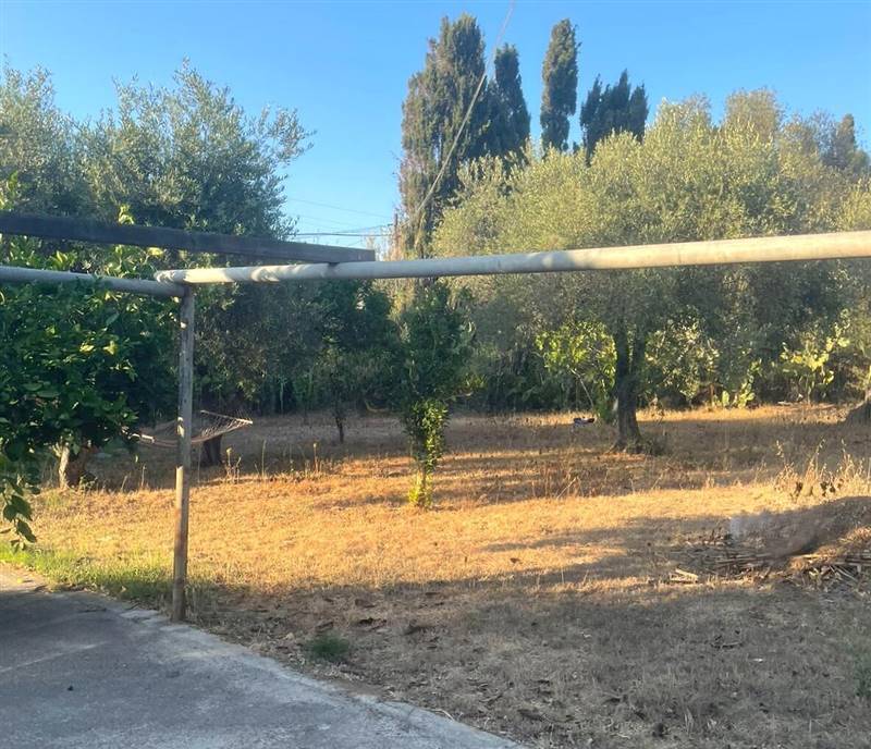 WhatsApp Image 2025-11-12 at 11.29.36 (4).jpeg