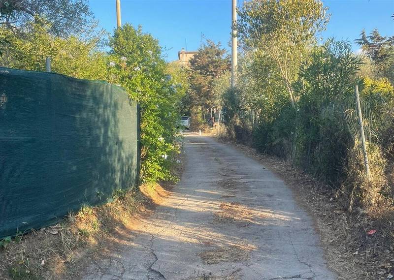 WhatsApp Image 2025-11-12 at 11.29.34 (6).jpeg