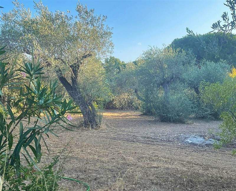 WhatsApp Image 2025-11-12 at 11.29.34 (3).jpeg