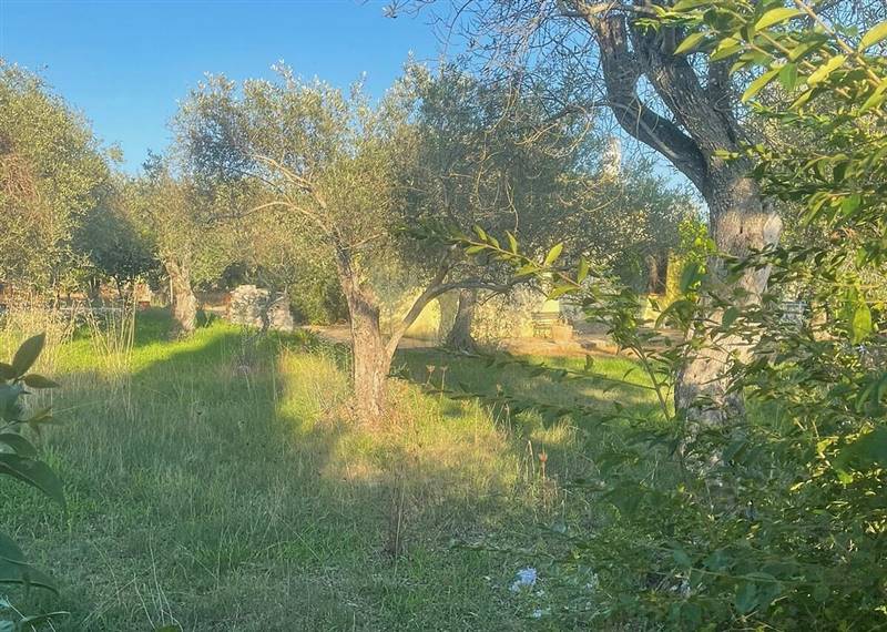 WhatsApp Image 2025-11-12 at 11.29.33 (1).jpeg