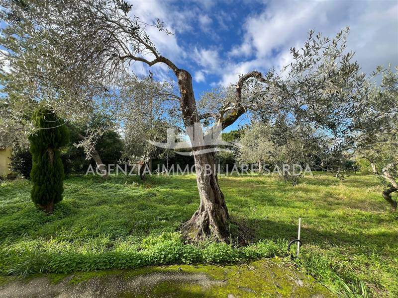 WhatsApp Image 2025-12-03 at 11.03.48 (4).jpeg