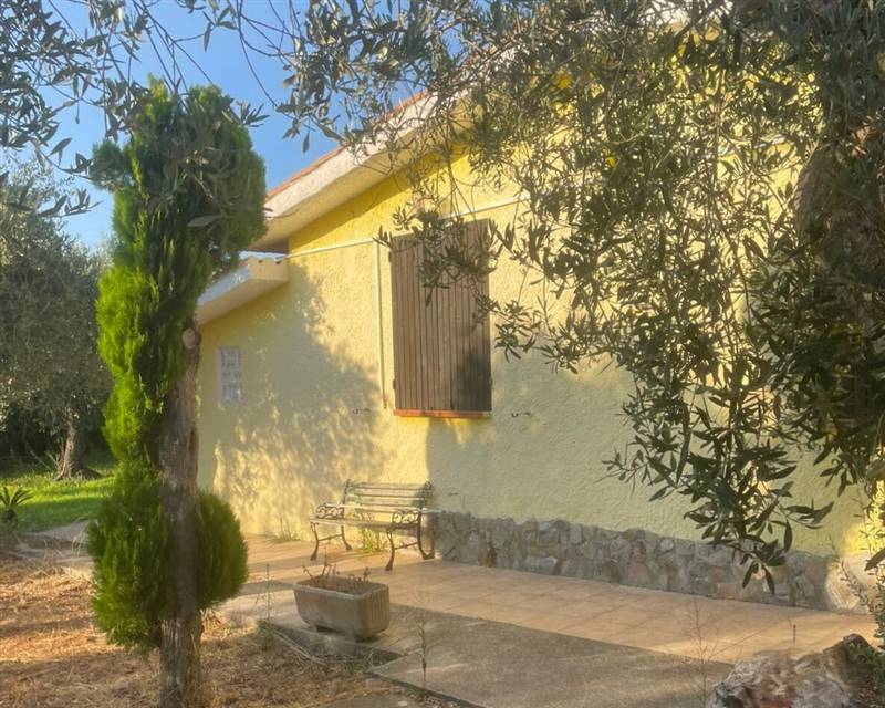 WhatsApp Image 2025-11-12 at 11.29.35 (1).jpeg