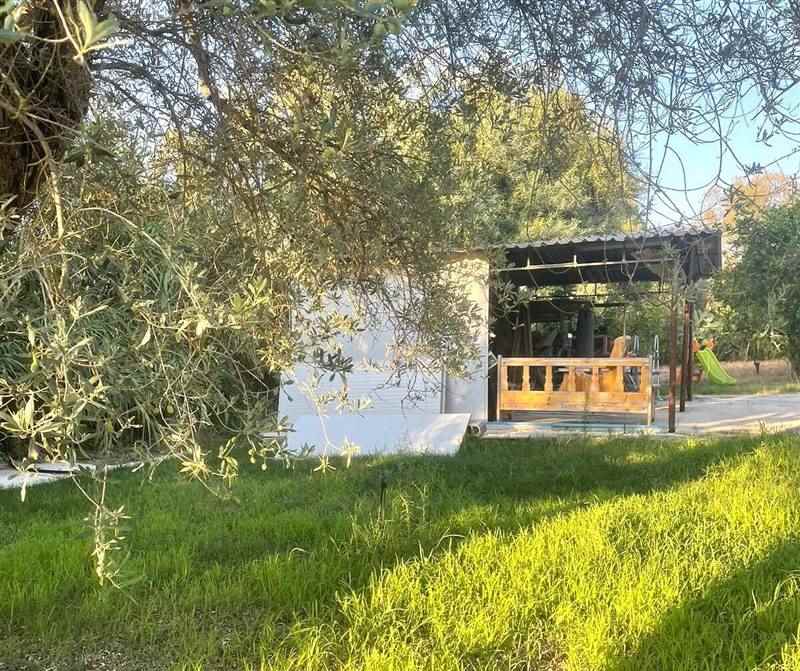 WhatsApp Image 2025-11-12 at 11.29.37 (3).jpeg