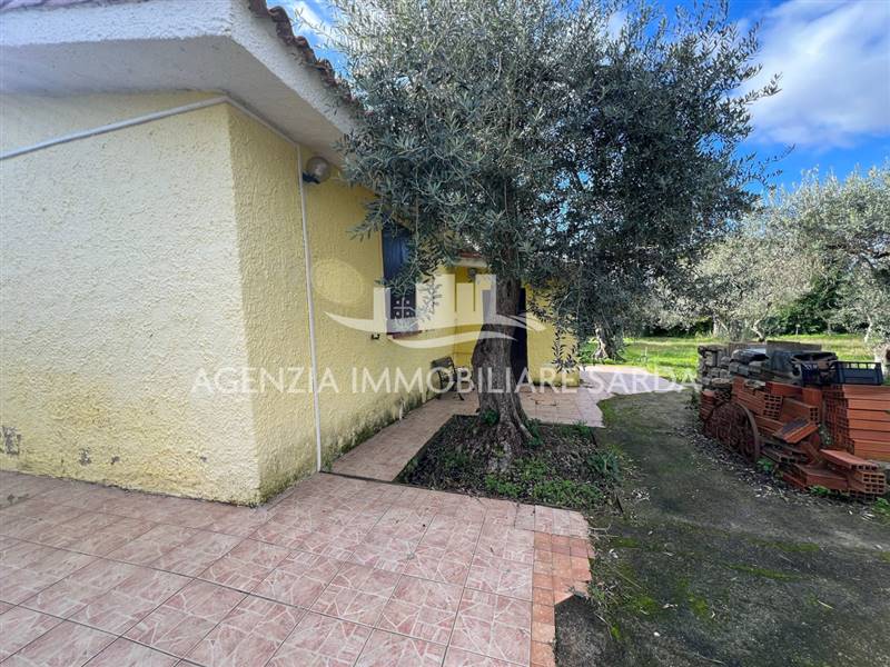 WhatsApp Image 2025-12-03 at 11.03.49 (3).jpeg