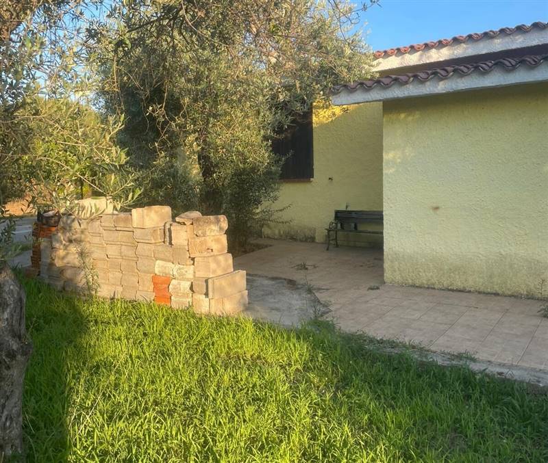 WhatsApp Image 2025-11-12 at 11.29.36 (2).jpeg